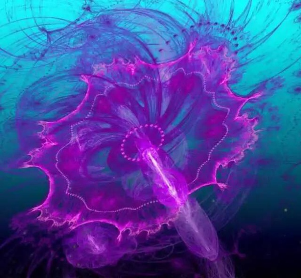 ˮĸͺˮһ